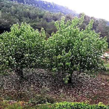 Mas Nou Con Piscina Y Vistas Espectaculares * La Selva del Camp